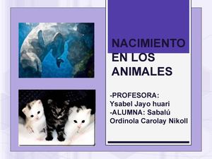 Nacimiento en los animales