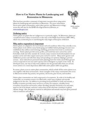 How to Use Native Plants for Landscaping and Restoration in Minnesota