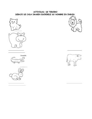 Documentos de apoyo "actividades"