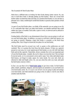 Calameo The Essentials Of Bird Feeder Plans