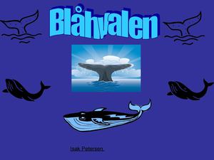 Blåhvalen Isak Anton Petersen