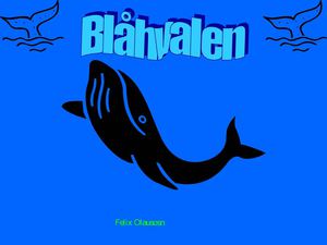Blåhvalen Felix