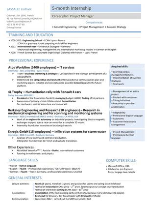 LASSALLE Ludovic, Eng Resume