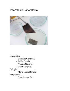 Informe Química - Colegio María Luisa Bombal - Cuarto medio