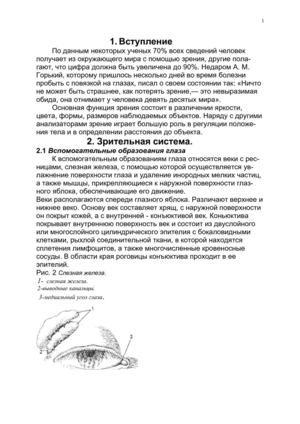 Физиология и анатомия глаза