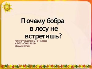 Почему бобра в лесу не встретишь