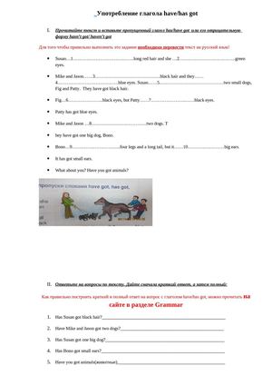 have has got exercises