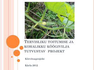 Kõrvitsaprojekti kokkuvõte