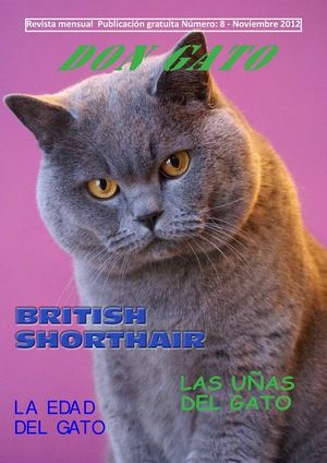 Don Gato nº 8