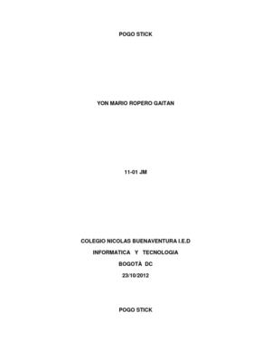 INFORME DEL POGO STICK