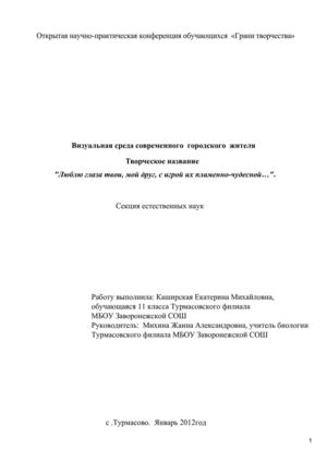  Проект "Визуальная среда современного городского жителя"