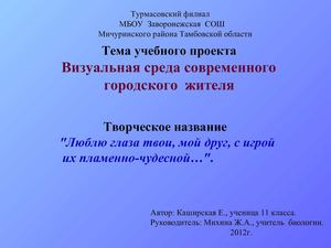 Презентация к проекту "Визуальная среда современного городского жителя"