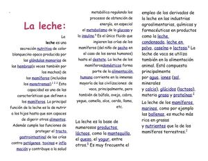 Triptico de materias primas 