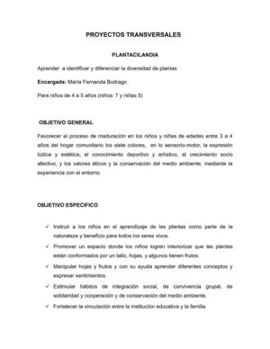 PROYECTOS TRANSVERSALES