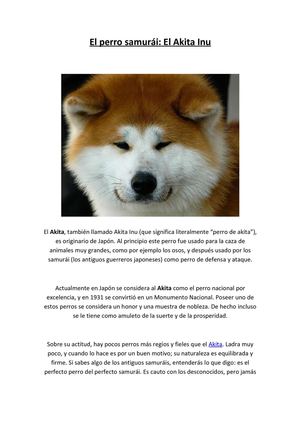Facilisimo - El perro samurai - el akita inu