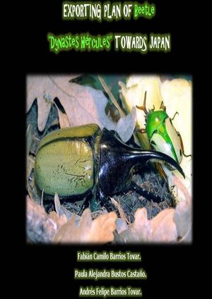 EXPORTING PLAN OF BEETLE "Dynastes Hércules"