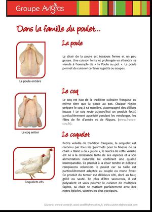 Fiche produit Poule - Coq - Coquelet 