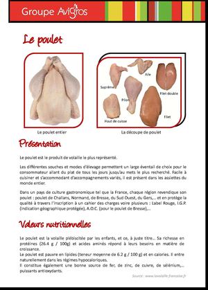 Fiche produit Poulet 