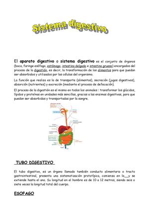 La digestión