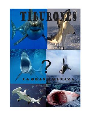 TIBURONES BY JEFFERSON QUIÑONES