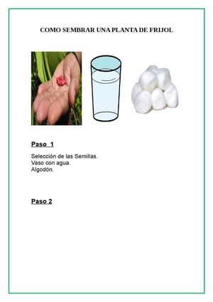 anyerson de Planta