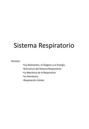 Sistema Respiratorio