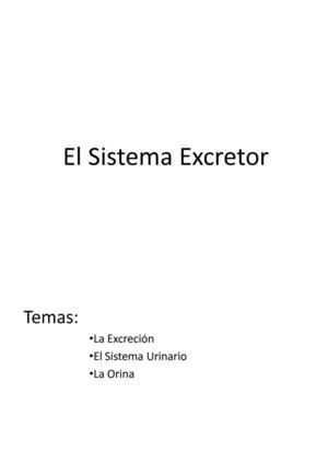 El Sistema Excretor