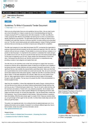 Guidelines To Write A Successful Tender Document