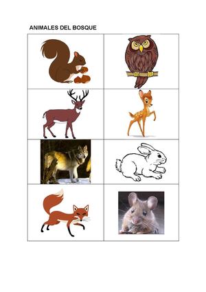 Fichas animales del bosque