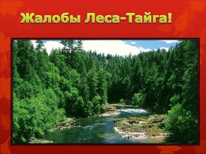 Лесные тревоги