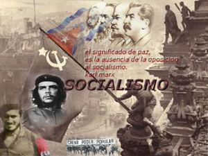 caracteristicas del socialismo