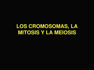 Biología - Cromosomas, mitosis y meiosis.