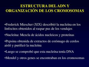 Biología - Estructura ADN y organización cromosómica.