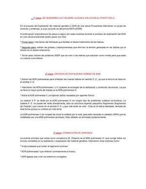 Biología - Etapas de la replicación.