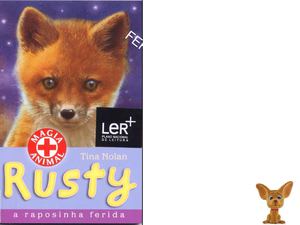 Rusty, a raposinha ferida