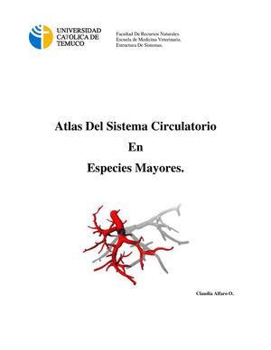 Atlas De Irrigación Animal