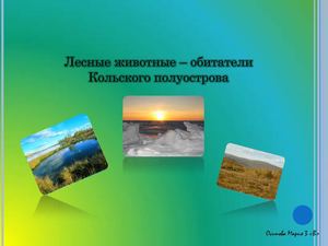 Лесные животные - обитатели Кольского полуострова