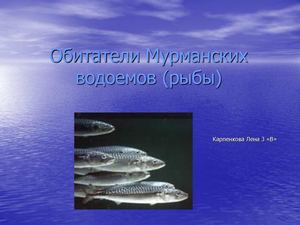 Обитатели мурманских водоемов (рыбы)