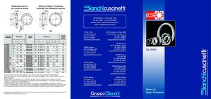 IBC - Ghiere di super precisione