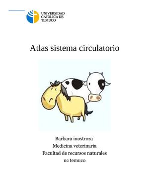 SISTEMA CIRCULATORIO