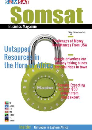 Somsat Business Magazine June/July 2012