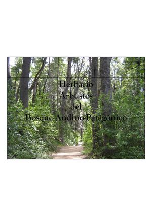 Herbario Arbustos del Bosque Andino Patagónico