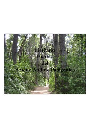 Herbario Hierbas-Hemiparásitas y Enredaderas del Bosque Andino Patagónico