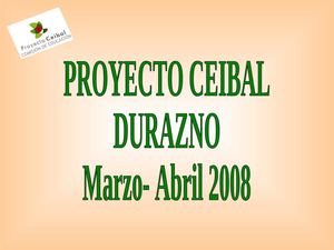 Proyecto Ceibal
