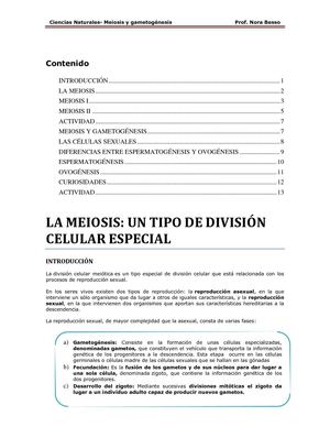 Meiosis y gametogénesis