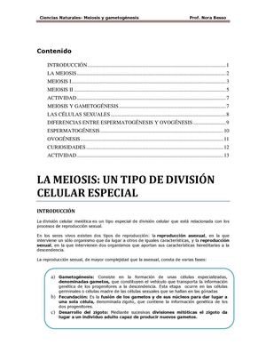 Meiosis y gametogénesis