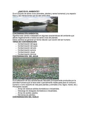 QUE ES EL AMBIENTE