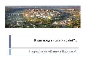 Проект Камянець