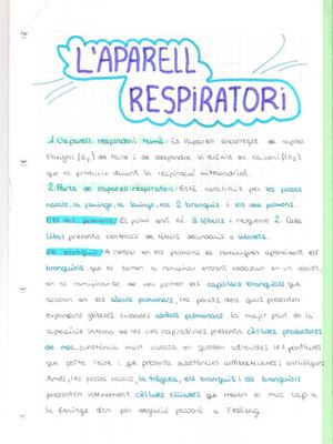 RESPIRATORI
