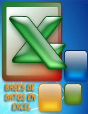 manual de bases de datos de excel